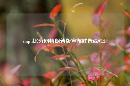 zuqiu比分网特朗普版宣布胜选65.97.26-第1张图片-比分网