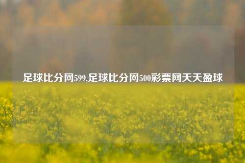 足球比分网599,足球比分网500彩票网天天盈球-第1张图片-比分网