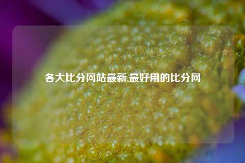 各大比分网站最新,最好用的比分网-第1张图片-比分网