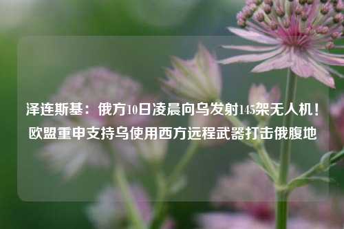 泽连斯基：俄方10日凌晨向乌发射145架无人机！欧盟重申支持乌使用西方远程武器打击俄腹地-第1张图片-比分网