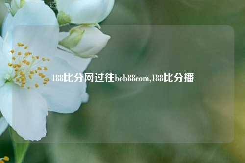 188比分网过往bob88com,188比分播-第1张图片-比分网