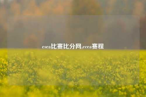 esea比赛比分网,ecea赛程-第1张图片-比分网