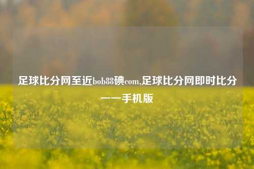 足球比分网至近bob88碘com,足球比分网即时比分一一手机版-第1张图片-比分网