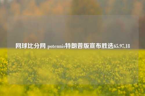 网球比分网 potennis特朗普版宣布胜选65.97.18-第1张图片-比分网