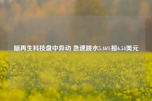 脑再生科技盘中异动 急速跳水5.46%报6.54美元-第1张图片-比分网