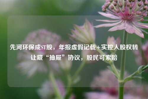 先河环保成ST股，年报虚假记载+实控人股权转让藏“抽屉”协议，股民可索赔-第1张图片-比分网