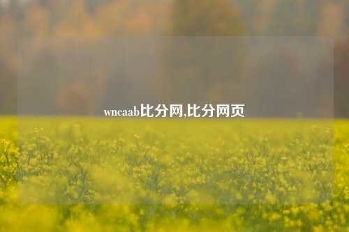 wncaab比分网,比分网页-第1张图片-比分网