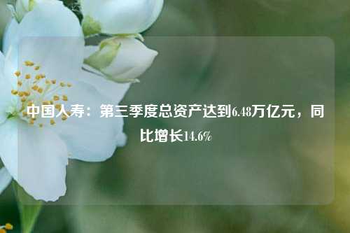 中国人寿：第三季度总资产达到6.48万亿元，同比增长14.6%-第1张图片-比分网