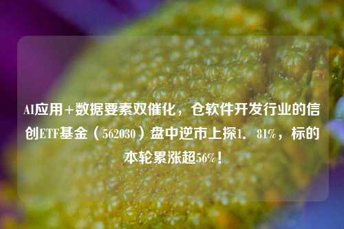 AI应用+数据要素双催化，仓软件开发行业的信创ETF基金（562030）盘中逆市上探1．81%，标的本轮累涨超56%！-第1张图片-比分网