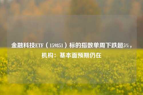 金融科技ETF（159851）标的指数单周下跌超5%，机构：基本面预期仍在-第1张图片-比分网