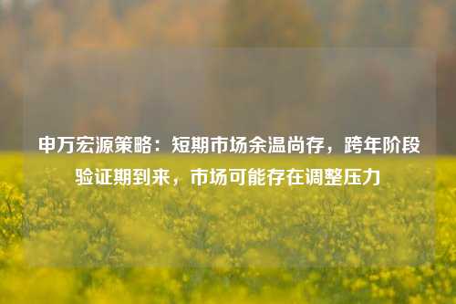 申万宏源策略：短期市场余温尚存，跨年阶段验证期到来，市场可能存在调整压力-第1张图片-比分网