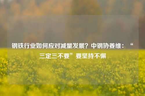 钢铁行业如何应对减量发展？中钢协姜维：“三定三不要”要坚持不懈-第1张图片-比分网