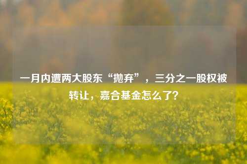 一月内遭两大股东“抛弃”，三分之一股权被转让，嘉合基金怎么了？-第1张图片-比分网