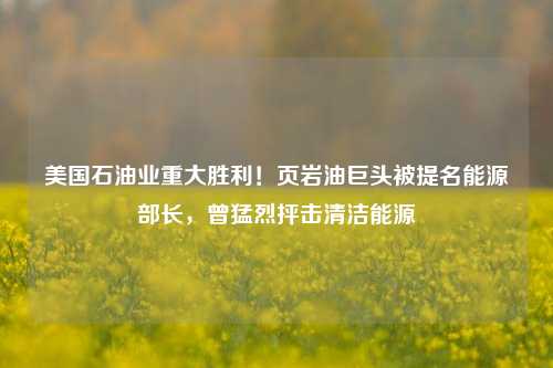 美国石油业重大胜利！页岩油巨头被提名能源部长，曾猛烈抨击清洁能源-第1张图片-比分网