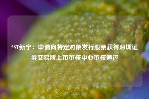 *ST新宁：申请向特定对象发行股票获得深圳证券交易所上市审核中心审核通过-第1张图片-比分网