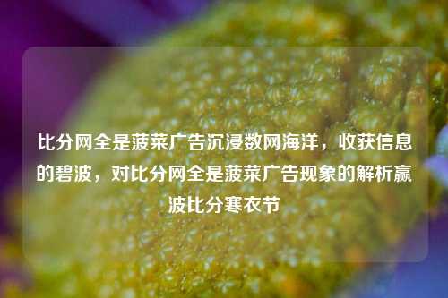 比分网全是菠菜广告沉浸数网海洋，收获信息的碧波，对比分网全是菠菜广告现象的解析赢波比分寒衣节-第1张图片-比分网