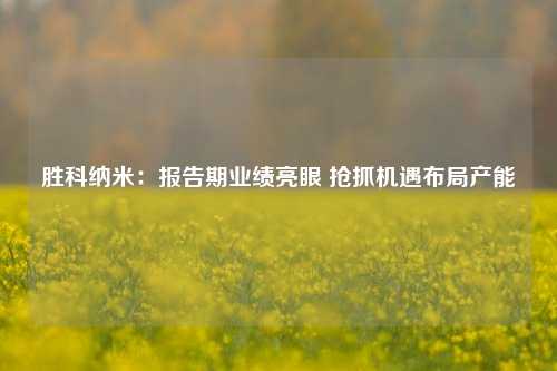 胜科纳米：报告期业绩亮眼 抢抓机遇布局产能-第1张图片-比分网