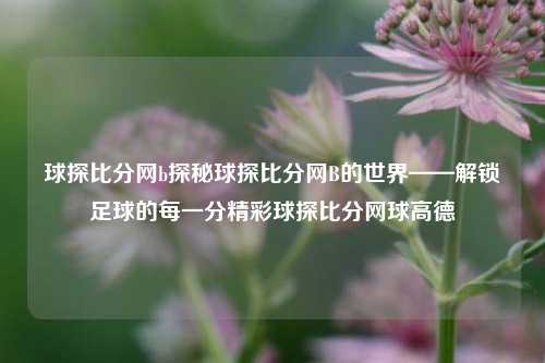 球探比分网b探秘球探比分网B的世界——解锁足球的每一分精彩球探比分网球高德-第1张图片-比分网