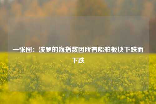 一张图：波罗的海指数因所有船舶板块下跌而下跌-第1张图片-比分网