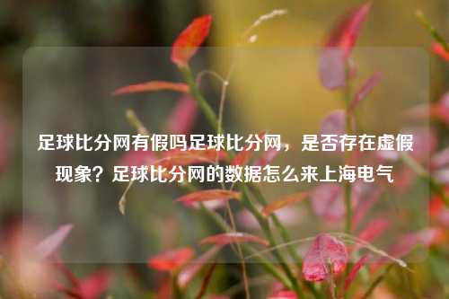 足球比分网有假吗足球比分网，是否存在虚假现象？足球比分网的数据怎么来上海电气-第1张图片-比分网