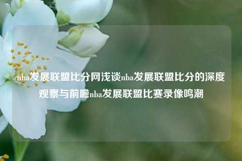 nba发展联盟比分网浅谈nba发展联盟比分的深度观察与前瞻nba发展联盟比赛录像鸣潮-第1张图片-比分网