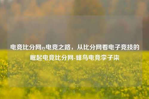 电竞比分网zy电竞之路，从比分网看电子竞技的崛起电竞比分网-蜂鸟电竞李子柒-第1张图片-比分网