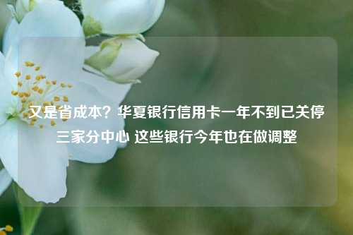 又是省成本？华夏银行信用卡一年不到已关停三家分中心 这些银行今年也在做调整-第1张图片-比分网