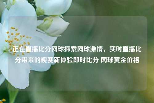 正在直播比分网球探索网球激情，实时直播比分带来的观赛新体验即时比分 网球黄金价格-第1张图片-比分网