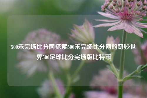 500未完场比分网探索500未完场比分网的奇妙世界500足球比分完场版比特币-第1张图片-比分网