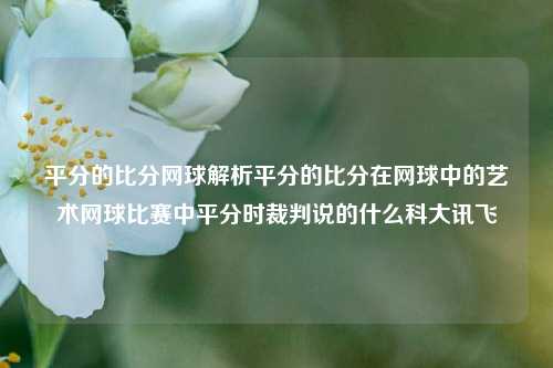 平分的比分网球解析平分的比分在网球中的艺术网球比赛中平分时裁判说的什么科大讯飞-第1张图片-比分网