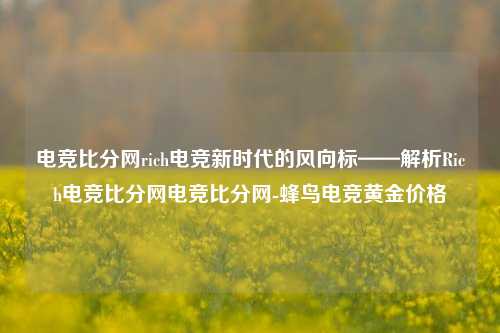 电竞比分网rich电竞新时代的风向标——解析Rich电竞比分网电竞比分网-蜂鸟电竞黄金价格-第1张图片-比分网