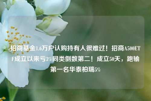 招商基金1.6万户认购持有人很难过！招商A500ETF成立以来亏3%同类倒数第二！成立50天，跑输第一名华泰柏瑞5%-第1张图片-比分网