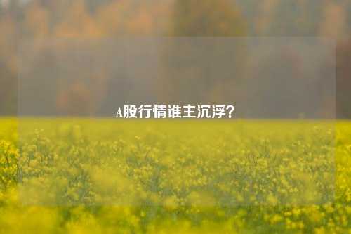 A股行情谁主沉浮？-第1张图片-比分网