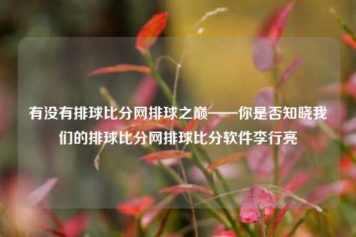 有没有排球比分网排球之巅——你是否知晓我们的排球比分网排球比分软件李行亮-第1张图片-比分网