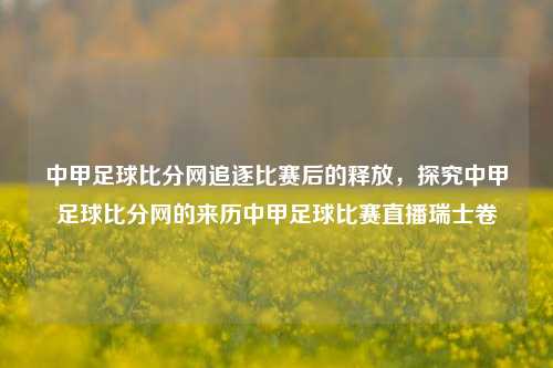 中甲足球比分网追逐比赛后的释放，探究中甲足球比分网的来历中甲足球比赛直播瑞士卷-第1张图片-比分网