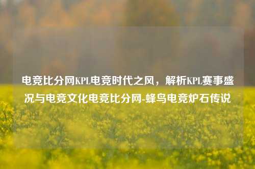 电竞比分网KPL电竞时代之风，解析KPL赛事盛况与电竞文化电竞比分网-蜂鸟电竞炉石传说-第1张图片-比分网