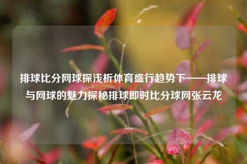 排球比分网球探浅析体育盛行趋势下——排球与网球的魅力探秘排球即时比分球网张云龙-第1张图片-比分网