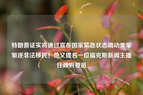 特朗普证实将通过宣布国家紧急状态调动美军驱逐非法移民！他又提名一位福克斯新闻主播任政府要员-第1张图片-比分网