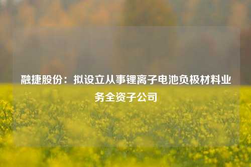 融捷股份：拟设立从事锂离子电池负极材料业务全资子公司-第1张图片-比分网