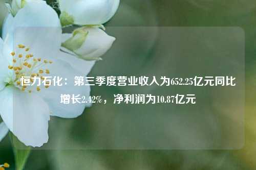 恒力石化：第三季度营业收入为652.25亿元同比增长2.42%，净利润为10.87亿元-第1张图片-比分网