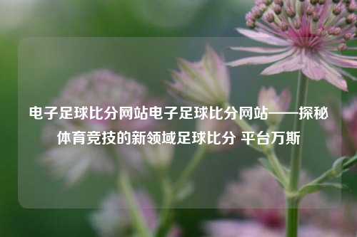 电子足球比分网站电子足球比分网站——探秘体育竞技的新领域足球比分 平台万斯-第1张图片-比分网