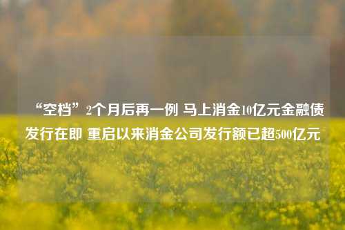 “空档”2个月后再一例 马上消金10亿元金融债发行在即 重启以来消金公司发行额已超500亿元-第1张图片-比分网