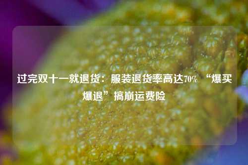 过完双十一就退货：服装退货率高达70% “爆买爆退”搞崩运费险-第1张图片-比分网