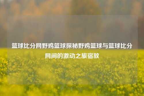 篮球比分网野鸡篮球探秘野鸡篮球与篮球比分网间的激动之旅宿敌-第1张图片-比分网