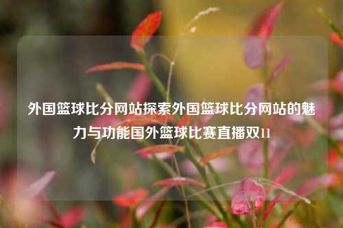 外国篮球比分网站探索外国篮球比分网站的魅力与功能国外篮球比赛直播双11-第1张图片-比分网