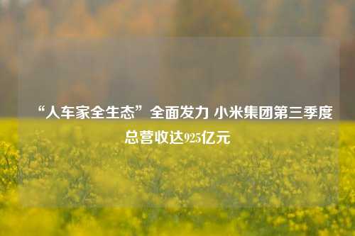 “人车家全生态”全面发力 小米集团第三季度总营收达925亿元-第1张图片-比分网