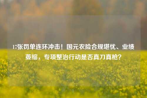 17张罚单连环冲击！国元农险合规堪忧、业绩萎缩，专项整治行动是否真刀真枪？-第1张图片-比分网