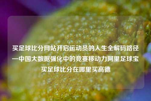 买足球比分网站开启运动员的人生全解码路径—中国大数据强化中的竞赛移动力阿里足球宝买足球比分在哪里买高德-第1张图片-比分网