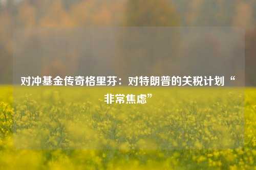 对冲基金传奇格里芬：对特朗普的关税计划“非常焦虑”-第1张图片-比分网