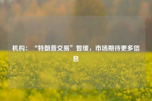 机构：“特朗普交易”暂缓，市场期待更多信息-第1张图片-比分网